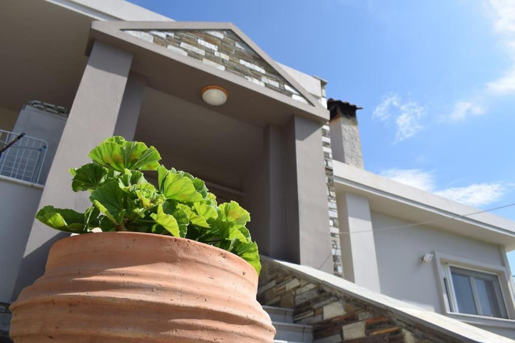 Villa Casa Chrissy Plagiarion Exterior photo
